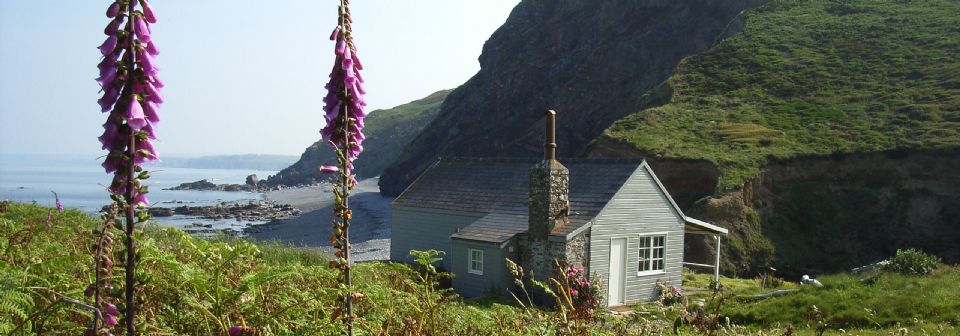 Unique Home Stays